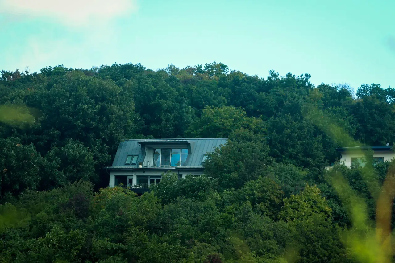 Kartepe Garden Villas: View from the wooded slope
